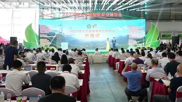 第十五届湖南茶博会圆满收官 集团公司与上百家企业达成意向合作