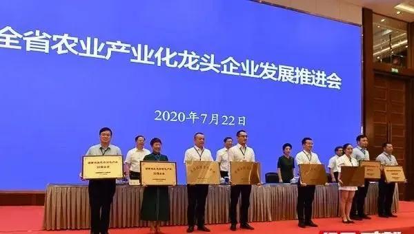 公司荣获湖南农业优势特色产业30强企业