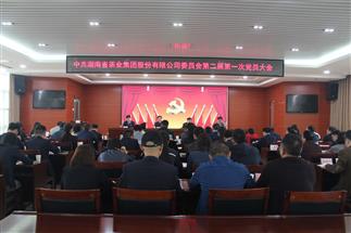 中共龙珠体育(中国)有限责任公司党委换届选举大会胜利召开